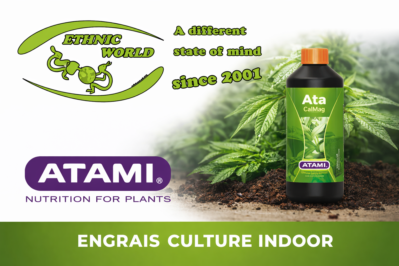 Atami Engrais Culture Indoor en Suisse
